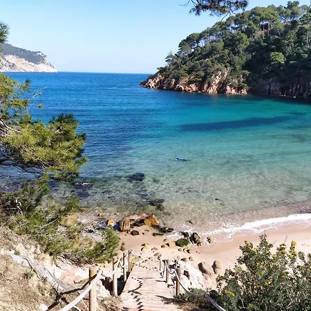 Lliris Atico Apartament