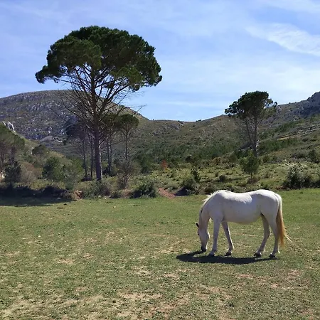 Apartament Lliris Atico L'Estartit